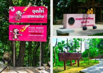 Malgré les messages d'avertissement, de nombreuses personnes viennent quotidiennement à Khao Toh Sae pour nourrir les singes sauvages