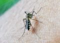 Comment se protéger contre les moustiques en Thaïlande ?