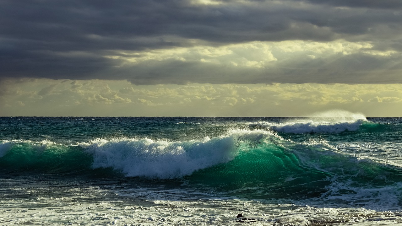 200.000 foyers ont été privés d'électricité lors du passage de la tempête Eleanor sur la France