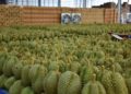 La demande chinoise de durians thaïs explose en avril
