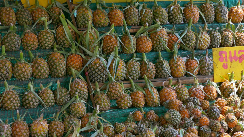 La province de Chiang Rai est actuellement confrontée à des problèmes liés à la surproduction d'ananas