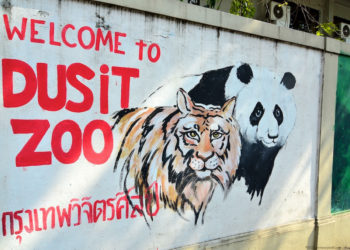 Bangkok : le zoo de Dusit va fermer ses portes à la fin du mois