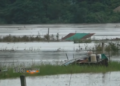 7 provinces du nord-est de la Thaïlande touchées par des inondations