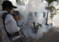 Dengue en Thaïlande : 71 décès dus à la maladie cette année