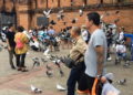 Chiang Mai : les touristes invités à ne pas nourrir les pigeons