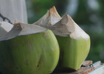 Les importations accusées de faire chuter le prix des noix de coco thaïlandaises