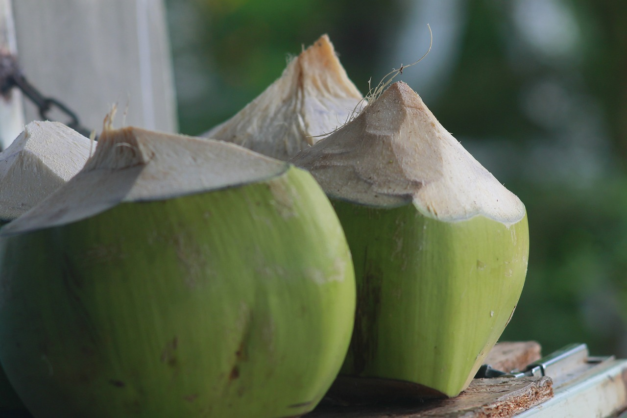Les producteurs de noix de coco thaïlandais sont confrontés à une baisse des prix, due aux nombreuses importations