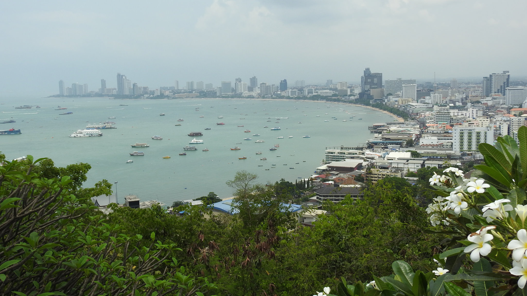 Les hôteliers de Pattaya ont fait part de leurs inquiétudes face à la baisse des arrivées de touristes chinois dans la ville