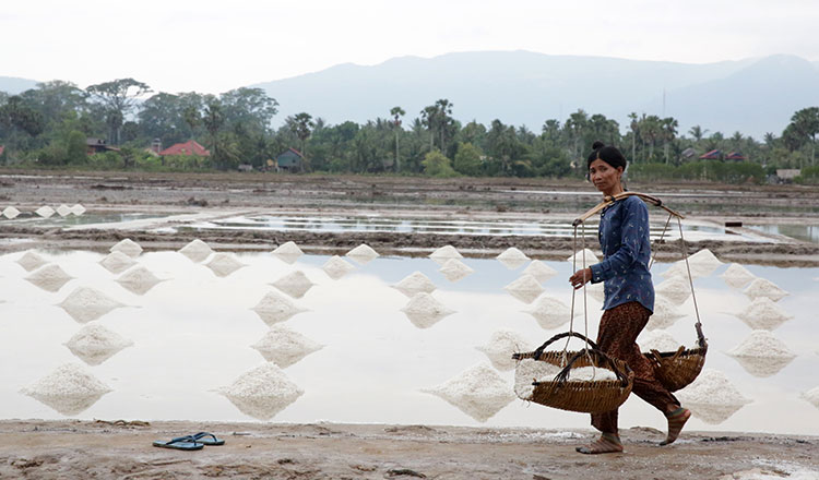Une femme récolte du sel dans la province de Kampot au Cambodge