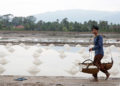 Cambodge : du sel chinois importé pour faire face à la demande intérieure