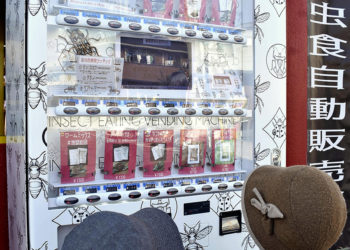 Japon : un distributeur automatique propose des insectes comestibles
