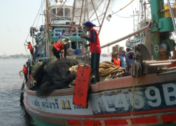 L'UE lève son "carton jaune" adressé à l'industrie thaïlandaise de la pêche