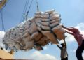 Vietnam : année difficile en perspective pour les exportateurs de riz