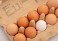 Les œufs de poule en batterie ne sont plus le premier choix des consommateurs en France