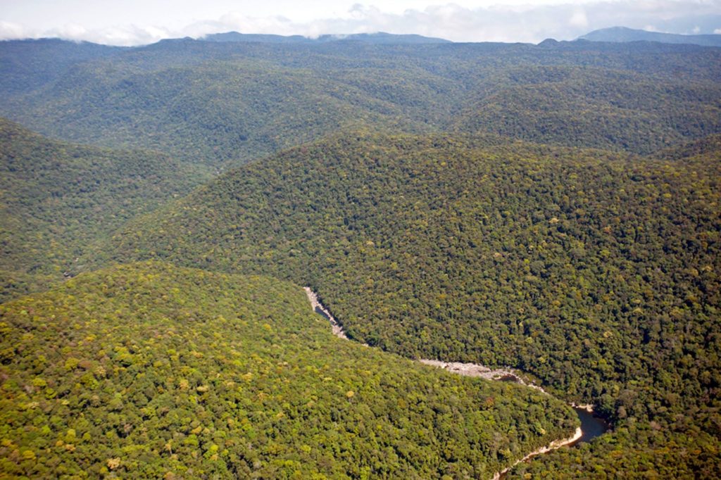 Laos : le gouvernement crée deux nouveaux parcs nationaux