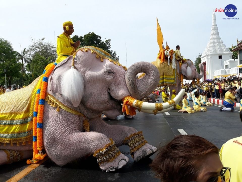 Ayutthaya elephants parade in Bangkok to honour the King of Thailand