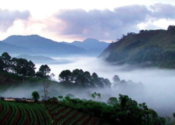 Début officiel de « l’hiver » thaïlandais le jeudi 17 octobre