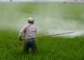 La Thaïlande va interdire trois pesticides toxiques à partir du 1er décembre