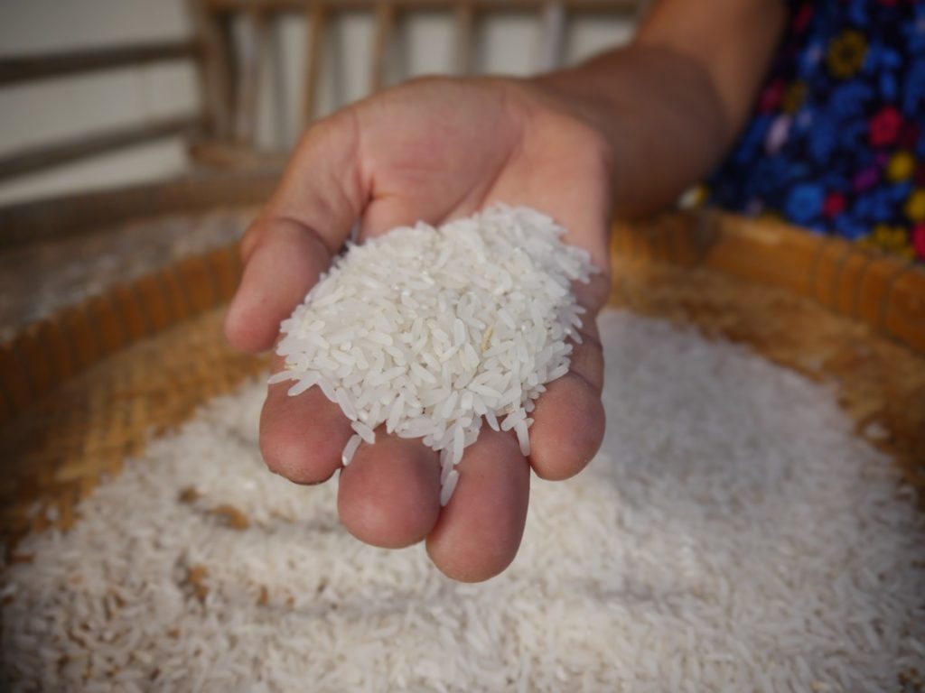 Les cours du riz thaïlandais au plus haut depuis sept ans