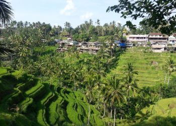 Bali interdit finalement aux touristes étrangers de séjourner sur l’île pour le reste de l’année 2020 en raison du coronavirus Covid-19