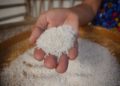 La Thaïlande devrait encore enregistrer de faibles exportations de riz en 2021